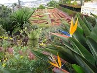 Botanischer Garten in Funchal 