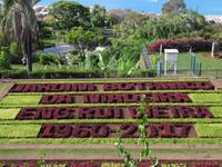 Botanischer Garten in Funchal 