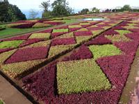 Botanischer Garten in Funchal 