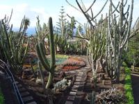 Botanischer Garten in Funchal 