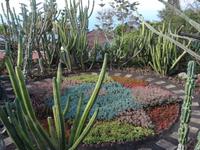 Botanischer Garten in Funchal 