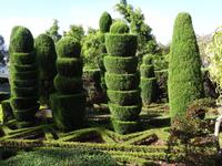 Botanischer Garten in Funchal 
