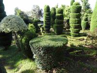 Botanischer Garten in Funchal 