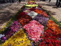 Funchal und sein Blumenteppiche