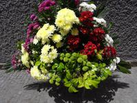 Sao Vicente - Blumendekoration anlässlich des Blumenfestes