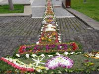 Sao Vicente - Blumendekoration anlässlich des Blumenfestes