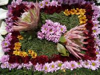 Sao Vicente - Blumendekoration anlässlich des Blumenfestes