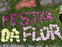 Sao Vicente - Blumendekoration anlässlich des Blumenfestes