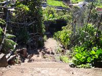 Wanderung entlang der Levada von Marocos - Treppenaufgang