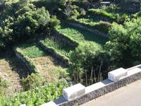 Wanderung entlang der Levada von Marocos