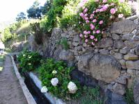 Wanderung entlang der Levada von Marocos