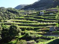 Wanderung entlang der Levada von Marocos