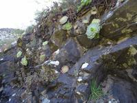 Wanderung entlang der Levada von Marocos- 