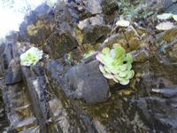 Wanderung entlang der Levada von Marocos- 