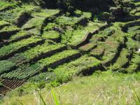 Wanderung entlang der Levada von Marocos