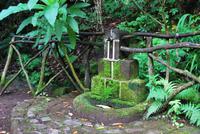 Brunnen im Wald
