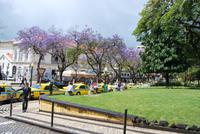 Funchal Stadtrundgang