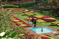 Botanischer Garten Madeiras