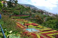 Botanischer Garten Madeiras