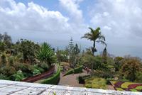 Botanischer Garten Madeiras