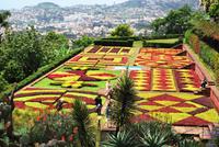 Botanischer Garten Madeiras