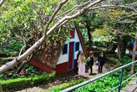 Botanischer Garten Madeiras