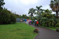 Botanischer Garten Madeiras