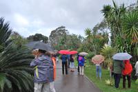 Botanischer Garten Madeiras