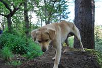 Levadawanderung - ein unerwarteter Begleiter.