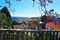Funchal - Blick zum Hafen