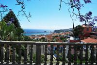 Funchal - Blick zum Hafen