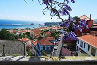 Funchal - Blick zum Hafen