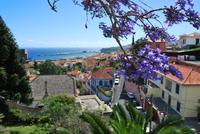 Funchal - Blick zum Hafen
