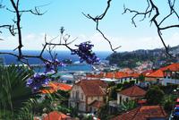 Funchal - Blick zum Hafen