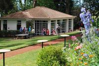 Palheiro Garten - Teehaus