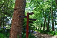 Palheiro Garten - Golfplatz