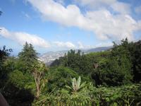 Blandys Garden - Blick auf Funchal