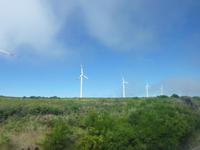Windräder auf Madeira