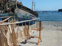 Katzenhaie - zum Trocknen aufgehängt