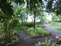 Im Botanischen Garten von Madeira