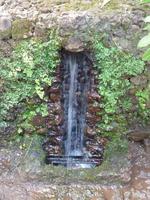 Im Botanischen Garten von Madeira