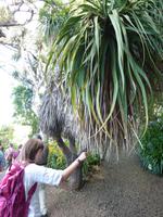 Im Botanischen Garten von Madeira