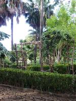 Im Botanischen Garten von Madeira