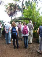 Im Botanischen Garten von Madeira