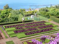 Im Botanischen Garten von Madeira