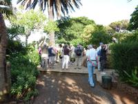Im Botanischen Garten von Madeira