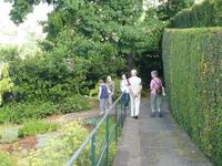 Im Botanischen Garten von Madeira