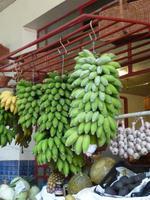 Bananenstauden in der Markthalle von Funchal