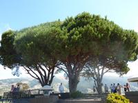 Aussichtspunkt Picos dos Barcelos