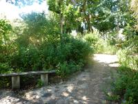 In Esmeraldas Kräutergarten